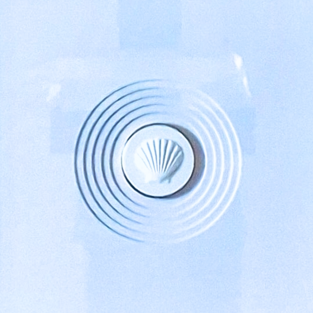 Scallop · Handcrafted White Frame · White Matboard
