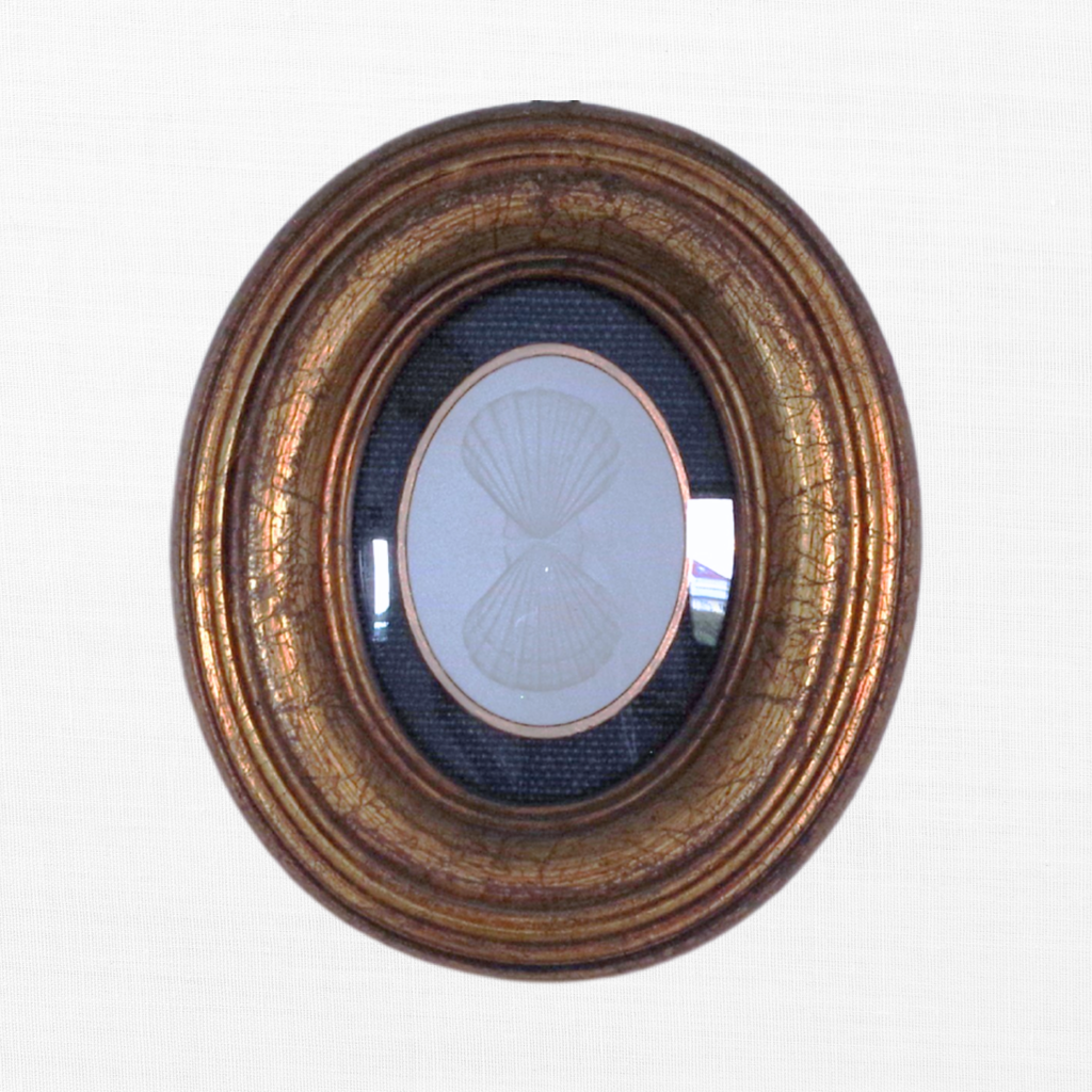 Gilded Shells - Twin Scallop Oval Framed Intaglio