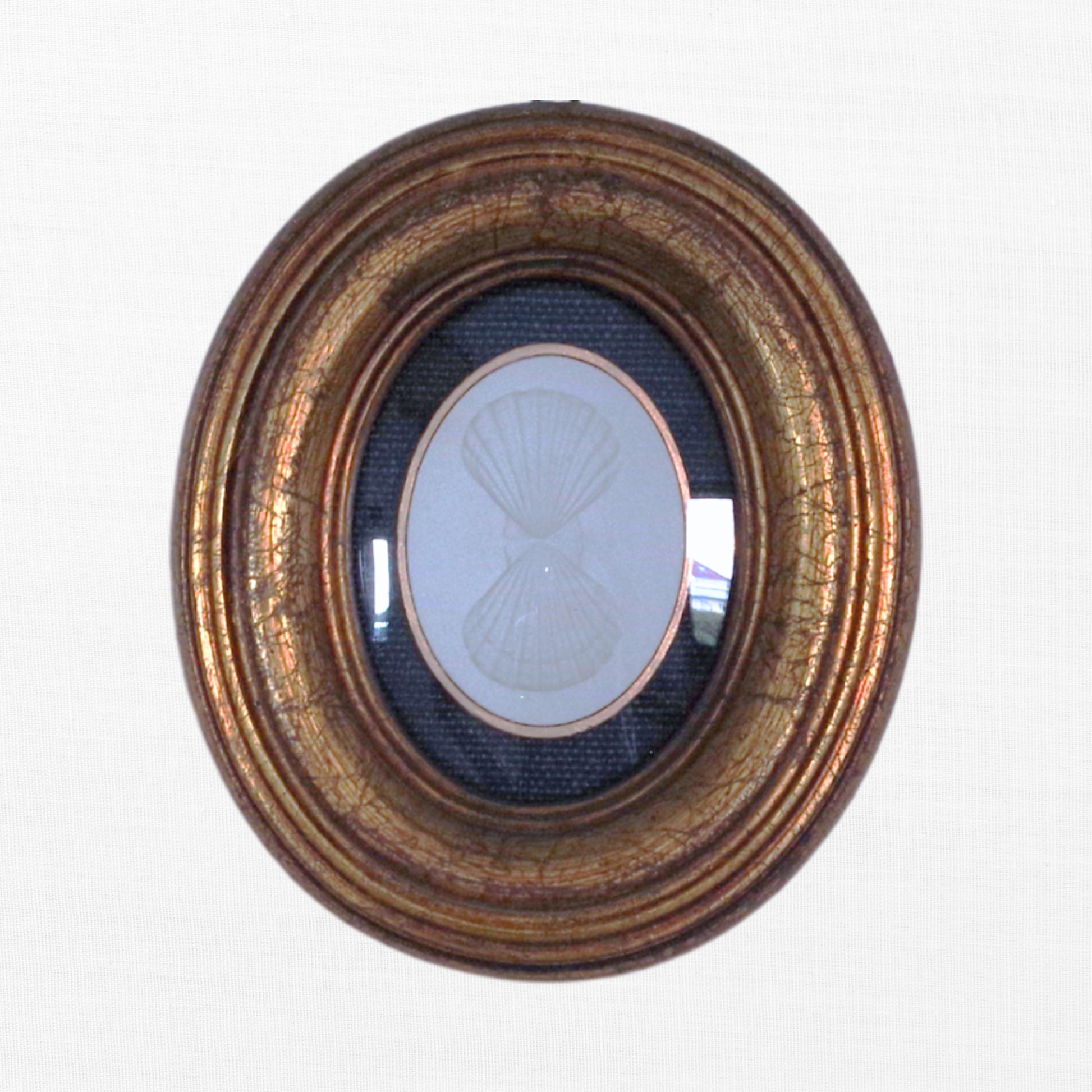 Gilded Shells - Twin Scallop Oval Framed Intaglio