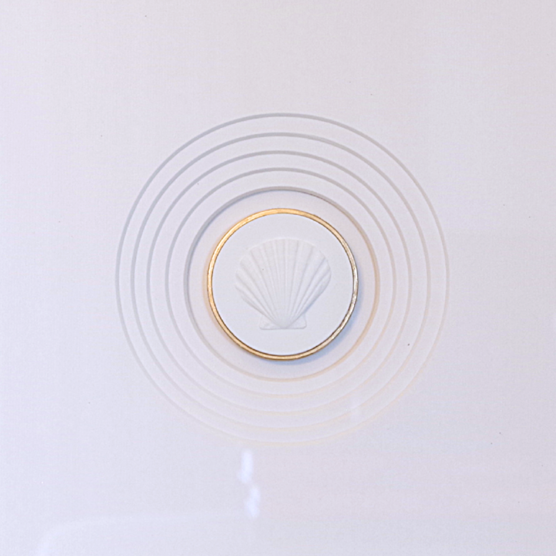 Scallop · Handcrafted White Frame · White Matboard