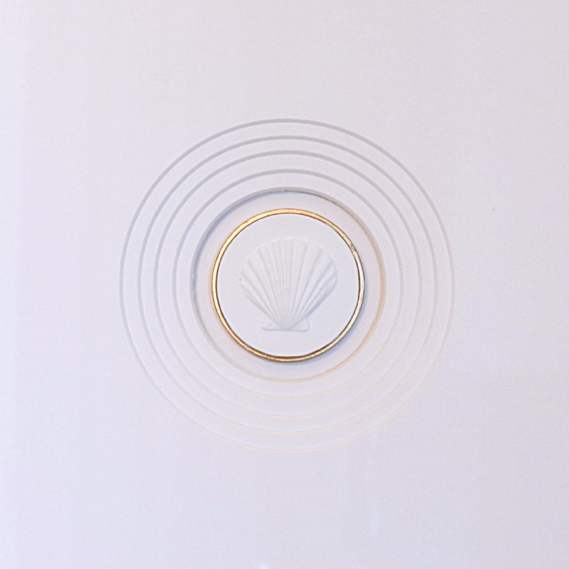 Scallop · Handcrafted Black Frame · White Matboard