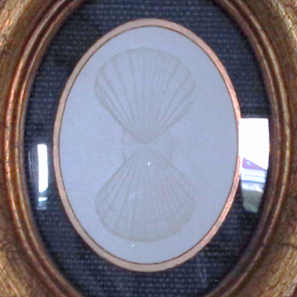 Gilded Shells - Twin Scallop Oval Framed Intaglio
